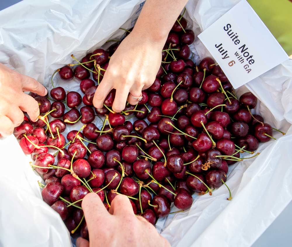 Suite Note hit the sweet spot with International Fruit Tree Association summer tour attendees on the July 23, 2018, stop at the Agri-Food Canada’s Summerland Research and Development Centre. (TJ Mullinax/Good Fruit Grower)