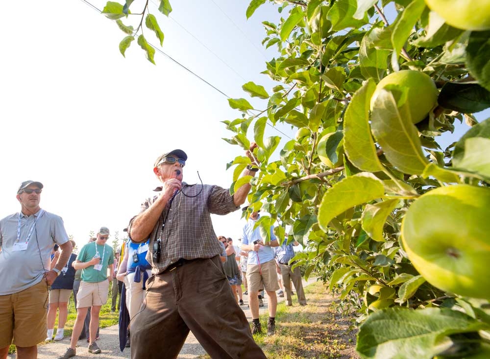 Brian Witzke motions toward one of his blocks that's been hit with apple clearwing moth during a tour of Northview Orchards near Kelowna, British Columbia, during the 2018 International Fruit Tree Association summer tour on July 25. (TJ Mullinax/Good Fruit Grower)
