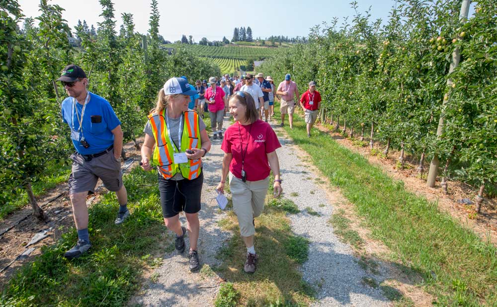 Molly Thurston, center, and Madeleine van Roechoudt, right, along with other attendees of the International Fruit Tree Association’s summer tour walk through Dorenberg Orchards in Winfield, British Columbia, on July 25, 2018. <b>(TJ Mullinax/Good Fruit Grower)</b>