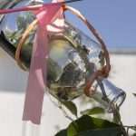 An apple destined for the farm’s brandy production is seen growing in a bottle at Golden Harvest Farms in New York