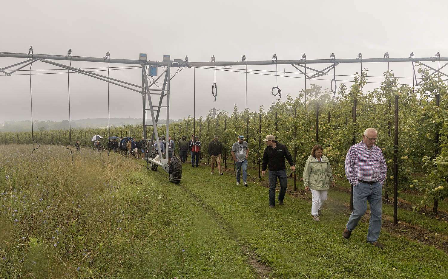IFTA visitors tour an apple block specially designed for center-pivot irrigation at Hurds Family Farm in New York.