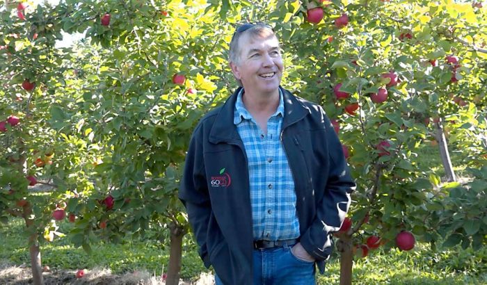 Honeycrisp deep dive - Good Fruit Grower