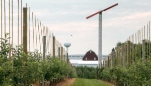 Wind machines protecting young, high-density apple orchards, like this one in Sparta, Michigan, are becoming almost as common to the region’s countryside as bulb-shaped water reservoirs and red barns. The growing region has invested heavily in frost protection measures over the past several years, and those improvements helped mitigate the effects of a severe spring frost this year. (Ross Courtney/Good Fruit Grower)