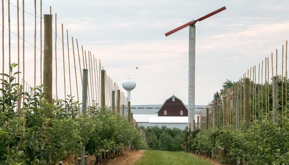 Wind machines protecting young, high-density apple orchards, like this one in Sparta, Michigan, are becoming almost as common to the region’s countryside as bulb-shaped water reservoirs and red barns. The growing region has invested heavily in frost protection measures over the past several years, and those improvements helped mitigate the effects of a severe spring frost this year. <b>(Ross Courtney/Good Fruit Grower)</b>