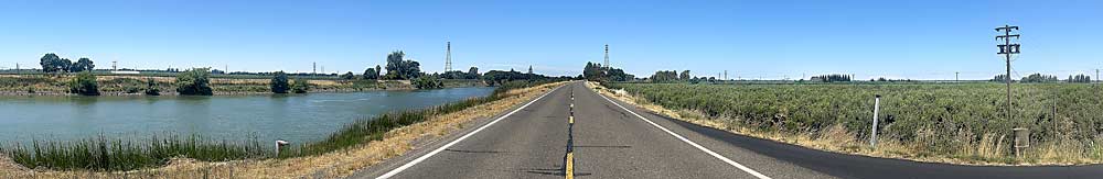 A road-topped levee separates the Sacramento River and a 90-year-old pear orchard in the Sacramento-San Joaquin Delta, an agricultural region of California that sits east of the San Francisco Bay and is full of islands and sloughs. (Ross Courtney/Good Fruit Grower)