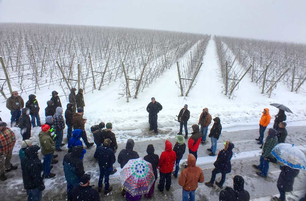 Scott McDougall, co-president of McDougall and Sons, is surrounded by IFTA tour attendees learning about the company’s new Legacy Orchards plantings, which were obscured by heavy snow and fog in East Wenatchee.<b> (TJ Mullinax/Good Fruit Grower)</b>