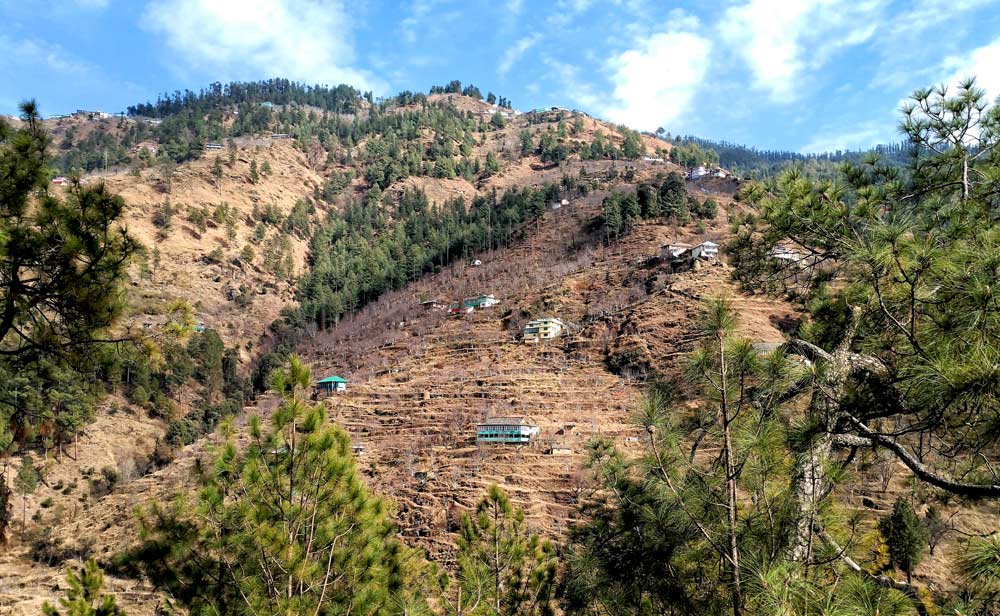 Terraced hillsides in the eaves of the Himalayan Mountains, such as this apple orchard in Himachal Pradesh, are a common sight for the fruit country of northern India, where investment by individual growers, governments and the World Bank are attempting to modernize the industry with high-density plantings and sophisticated post-harvest tools. (Courtesy Kunaal Chauhan)