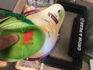 Some of the giveaway items available at the Interpera Congress meeting in Wenatche, Washington — license plate frames, a wine-cheese-pear combination guide and padded pear cozies. (Ross Courtney/Good Fruit Grower)