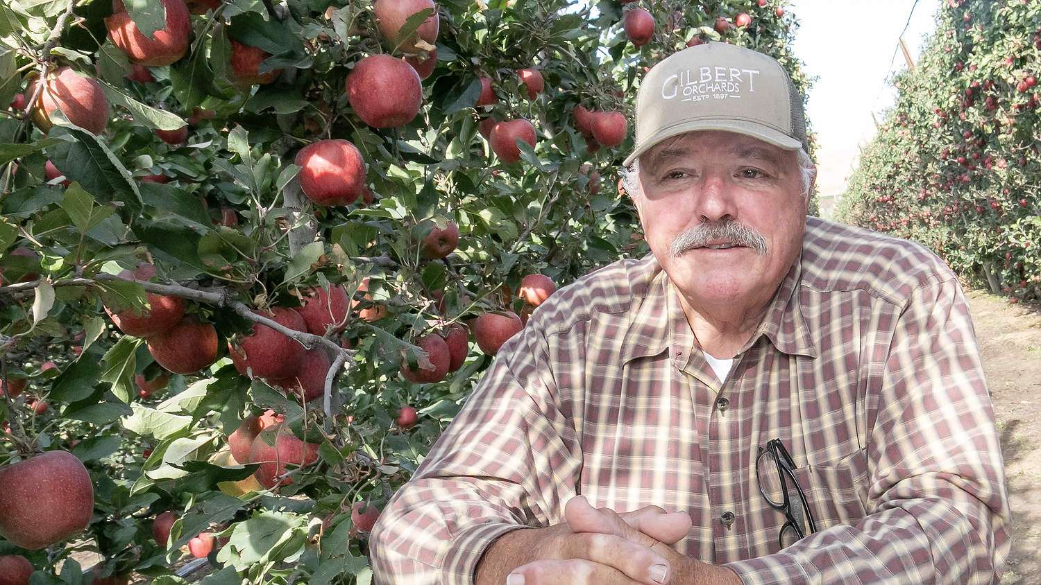 Dual benefits of continuing education Jim Doornink, shown on his farm in Wapato, Washington, in 2024, is retiring from the Washington Tree Fruit Research Commission after more than 40 years as a board member. (TJ Mullinax/Good Fruit Grower)