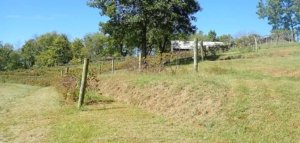 Beall and Carpenter discovered, cleared and replanted Dufour’s original terraces on the slope overlooking the Kentucky River. (By Leslie Mertz)
