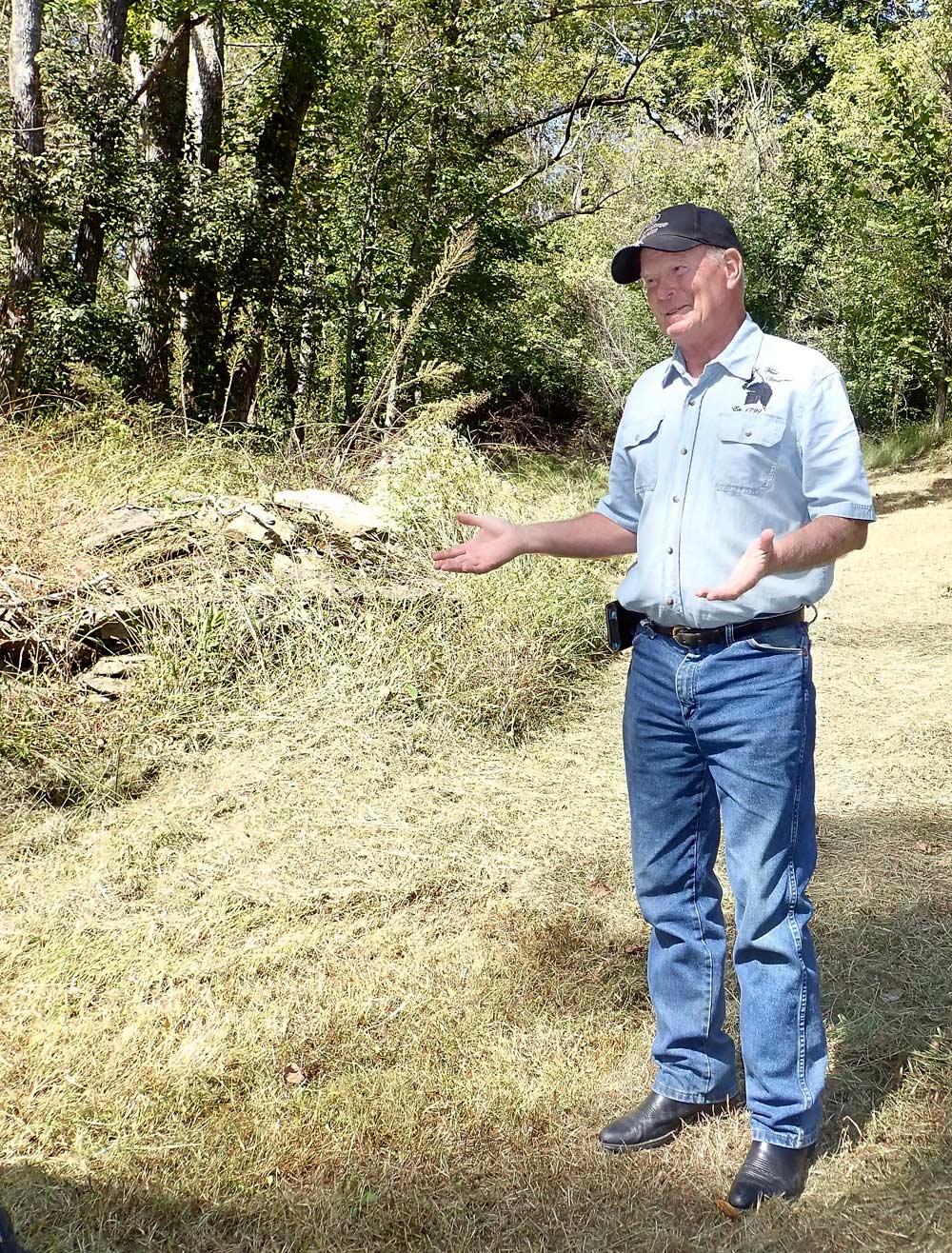 Beall and Carpenter have found a number of artifacts from Dufour’s operation. Here, Beall shows the complete, albeit now-overgrown, foundation from the original winery. One end of the foundation is circular and is where the crushing vat was located, and the other is squared off and was the site of the grape press. <b>(By Leslie Mertz)</b>