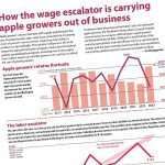A new look at labor costs for apple growers Screenshot