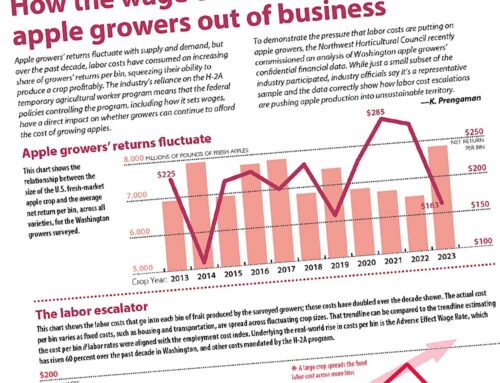 A new look at labor costs for apple growers