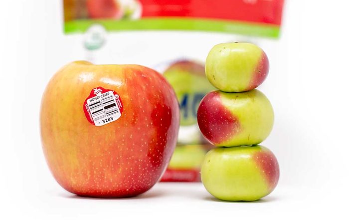 Cosmic Crisp boasts big sales for Washington, with new apple varieties on  the way - Northwest Public Broadcasting