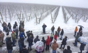 With snow falling heavily, Scott McDougall talks to one of the IFTA groups visiting his Legacy Orchards ranch in the Wenatchee, Washington area on February 20, 2017. McDougall said he’s planning blocks for a future that includes automated harvesting technology. (TJ Mullinax/Good Fruit Grower)
