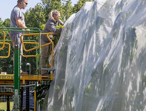 Netting for bird control