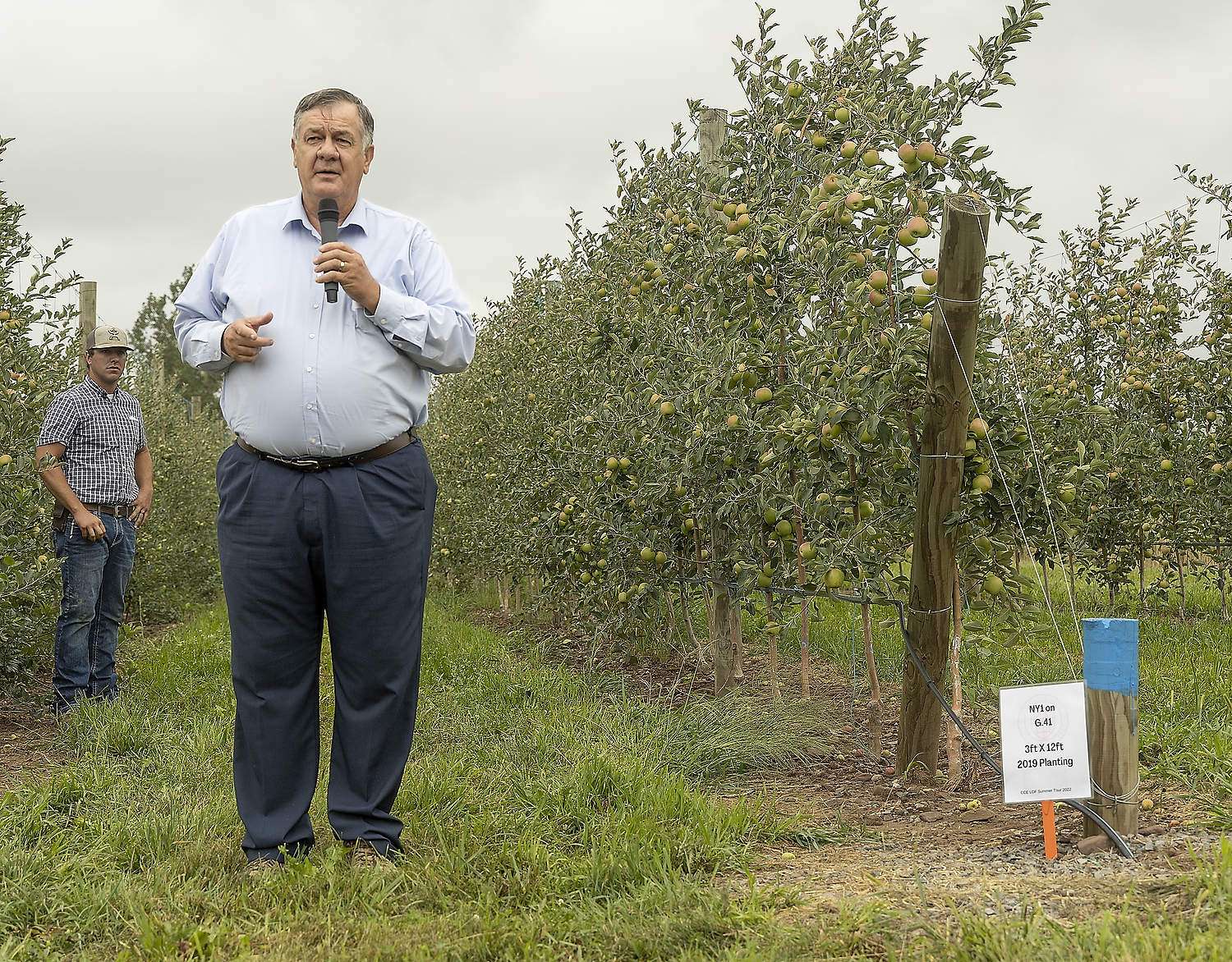 The right apple variety rules the returns Cornell University tree fruit physiologist Terence Robinson speaking in a New York orchard