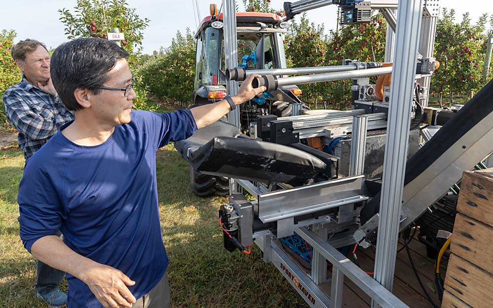 USDA research leader Renfu Lu squeezes the soft suction cup designed to gently handle fruit. He expects a fully automated apple harvester and in-field sorting machine, based on this prototype and the sorter his team previously developed, to be commercially viable in the next three to five years. (Matt Milkovich/Good Fruit Grower)