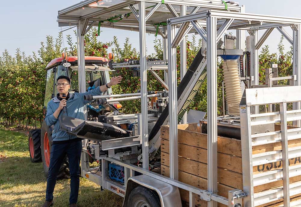 Michigan State University mechanical engineering professor Zhaojian Li, standing beside the robotic apple harvester in development by MSU and the U.S. Department of Agriculture, discusses the prototype’s suction-cup arms, which pick apples and drop them onto the padded ramp below, during a demonstration at Schwallier’s Country Basket in Sparta in September. (Matt Milkovich/Good Fruit Grower)