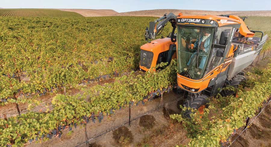 New mechanical grape harvesters have field sorting capability and can eliminate need for de-stemming, a task normally done at the winery. <b>(TJ Mullinax/Good Fruit Grower)</b>