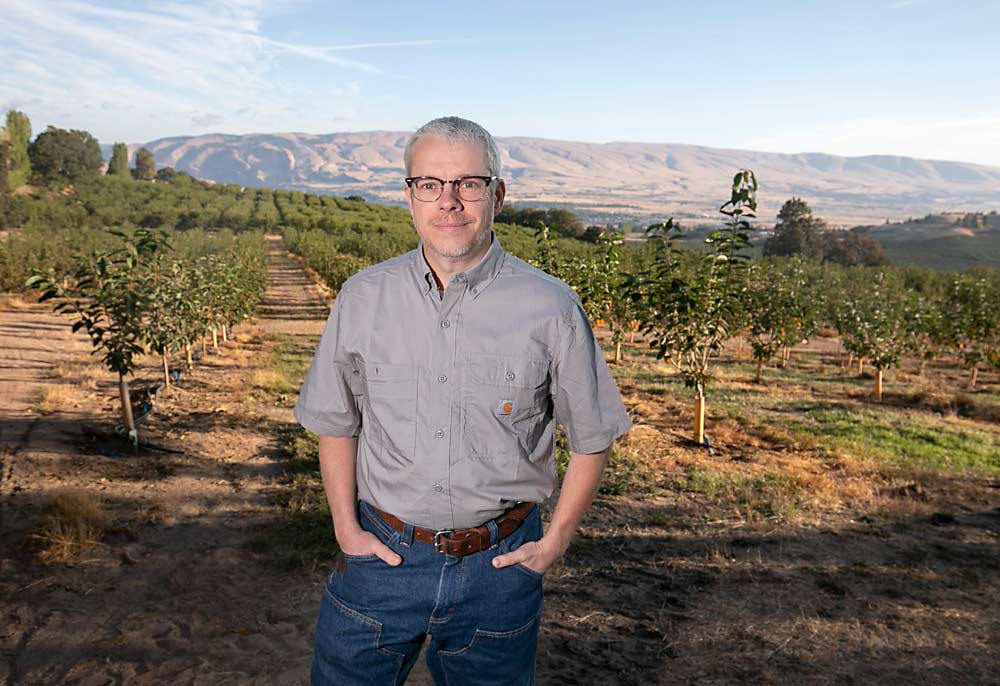 “If you are planting orchards that require very high upfront capital costs and high upfront training costs, what you can never take back is your need to make a lot of money every year, or you’ll never catch up.” —Mike Omeg, 2017 Good Fruit Grower of the Year, in front of a “resilient” young orchard in The Dalles, Oregon. (TJ Mullinax/Good Fruit Grower)