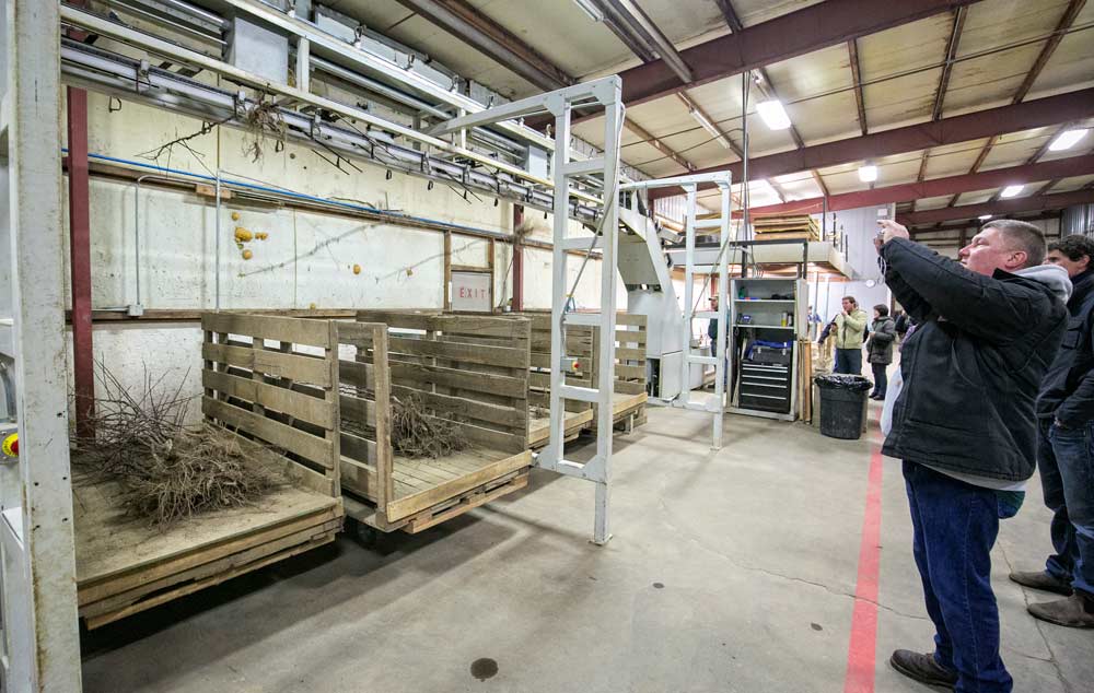 Attendees watch a custom automated rootstock bin loader during a tour at Willow Drive Nursery’s Ephrata, Washington, facility during the 2017 International Fruit Tree Association 60th annual conference in February. <b>(TJ Mullinax/Good Fruit Grower)</b>