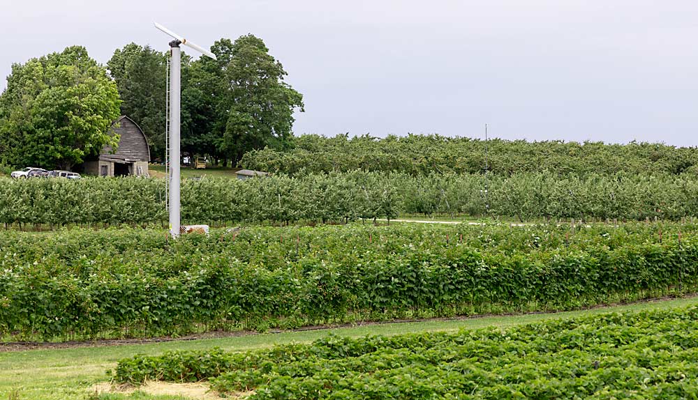 King Orchards in Antrim County, Michigan, grows many crops for retail and wholesale. In the foreground are strawberries, above them raspberries, then apples and, at top right, sweet cherries. About 35 years old, the sweet cherry block is mainly used for U-pick. (Matt Milkovich/Good Fruit Grower)