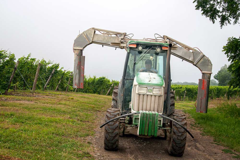 The slopes along Seneca Lake are desirable for grapes because the lake moderates winter temperatures, but farming sloping ground can require equipment modifications, such as this sprayer with arms that can be raised or lowered separately. <b> (Kate Prengaman/Good Fruit Grower)</b>