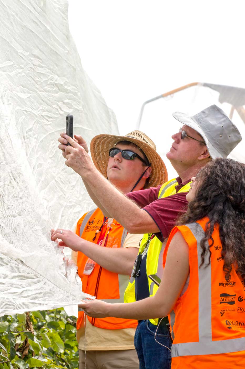 Adam Peters, left, Tom DeMarree, and Flor Maldonado closely inspect drape netting shortly after it was installed during a demonstration at Birdhurst Orchards in Motueka, New Zealand. <b>(TJ Mullinax/Good Fruit Grower)</b>
