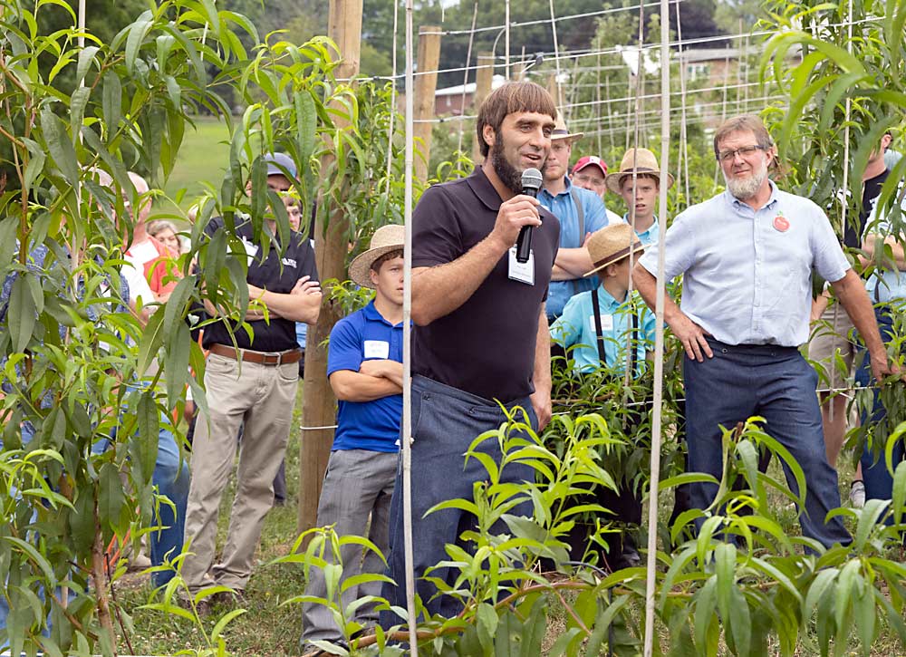 Ohio grower Isaac Yoder also planted a block of trellised peaches last year. He discussed his impressions so far during the OPGMA field day at Hillcrest Orchard. (Matt Milkovich/Good Fruit Grower)