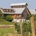 Making an estate winery work in northern Ohio ohio2024-4929mm-1-feat