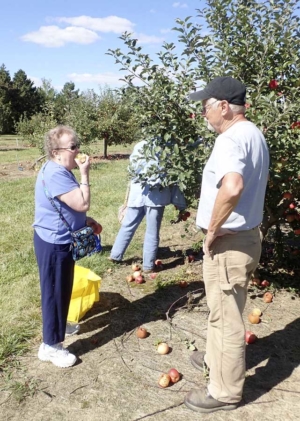 Although he doesn’t need to be at his pick-your-own, pay-online orchard to meet customers, Gary Bassett still enjoys spending a few hours among the trees every weekend to meet customers to his Sugar Creek Orchard in Ohio. Here, he chats with customers Raye Ann Boerger (foreground) and Marlene VanMeter who stopped by to pick up a couple of bags of apples. (Photo by Leslie Mertz)