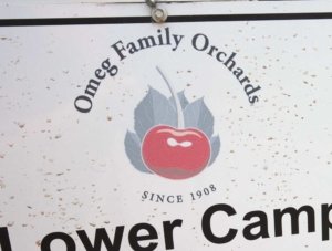 The lower camp at Omeg Family Orchards in The Dalles, Oregon, area in 2017. (TJ Mullinax/Good Fruit Grower)
