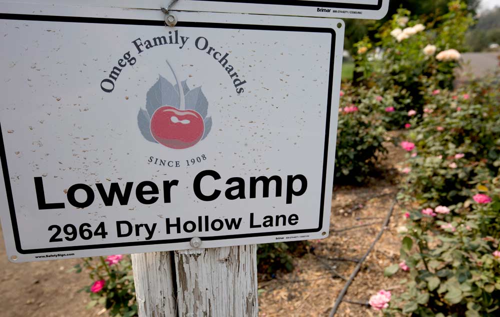 The lower camp at Omeg Family Orchards in The Dalles, Oregon, area in 2017. (TJ Mullinax/Good Fruit Grower)