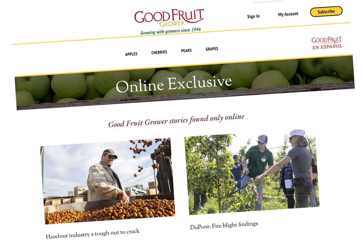 Dininny: Member model onlineExclusive-feat