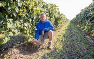 Carl Killian discusses on Friday, Sept. 14, 2018, his decision to transition to organic at his Sunnyside, Washington, Concord and Niagra vineyards. (Ross Courtney/Good Fruit Grower)
