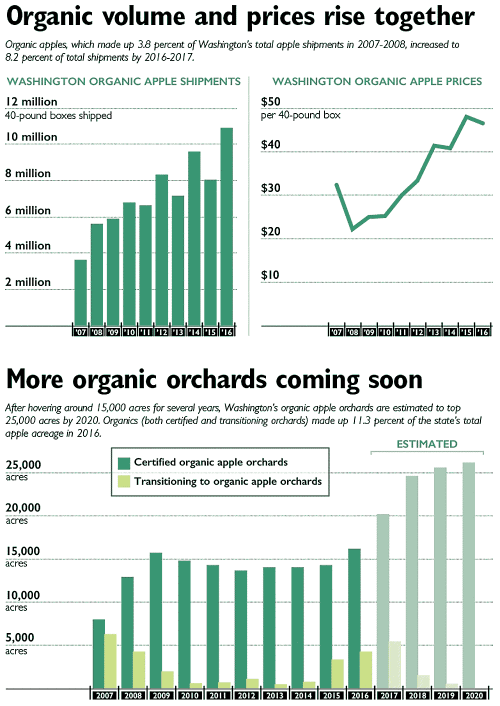 Organic volume and prices rise together: Organic apples, which made up 3.8 percent of Washington’s total apple shipments in 2007-2008, increased to 8.2 percent of total shipments by 2016-2017. More organic orchards coming soon: After hovering around 15,000 acres for several years, Washington’s organic apple orchards are estimated to top 25,000 acres by 2020. Organics (both certified and transitioning orchards) made up 11.3 percent of the state’s total apple acreage in 2016. <b>(Source: WSU-Center for sustaining agriculture and natural resources. Jared Johnson/Good Fruit Grower)</b>