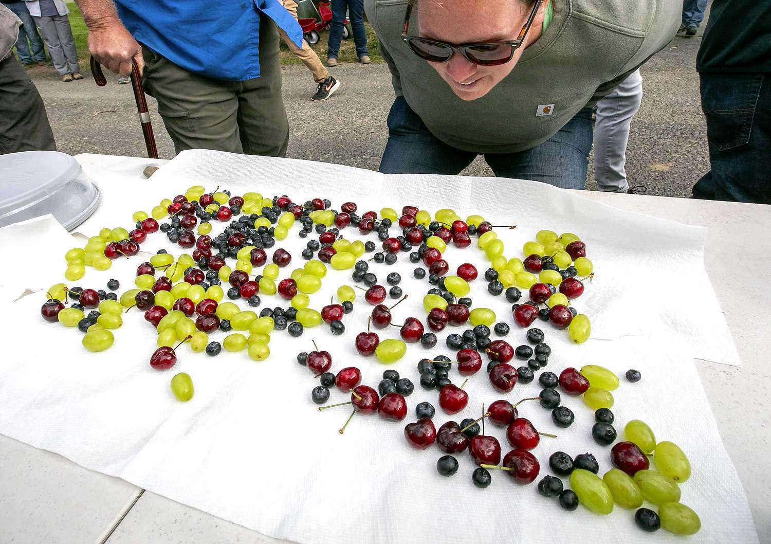 Adjusting the IPM recipe A field day participant tries to catch a whiff of garlic from cherries, blueberries and grapes treated with essential oils in May in The Dalles, Oregon. Consultants and researchers in the region believe garlic oil repels spotted wing drosophila enough to augment their management plans. (TJ Mullinax/Good Fruit Grower)