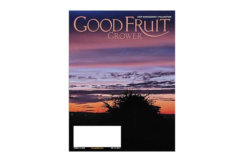 March 15, 2026 — Digital Issue Screenshot