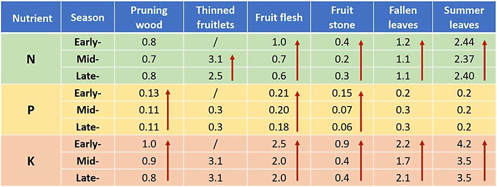 Table 1: N, P and K concentrations (percent of dry weight) in organs removed from early-, mid- and late-season peach trees (data collected in 2015). (Courtesy Qi Zhou and Juan Carlos Melgar)