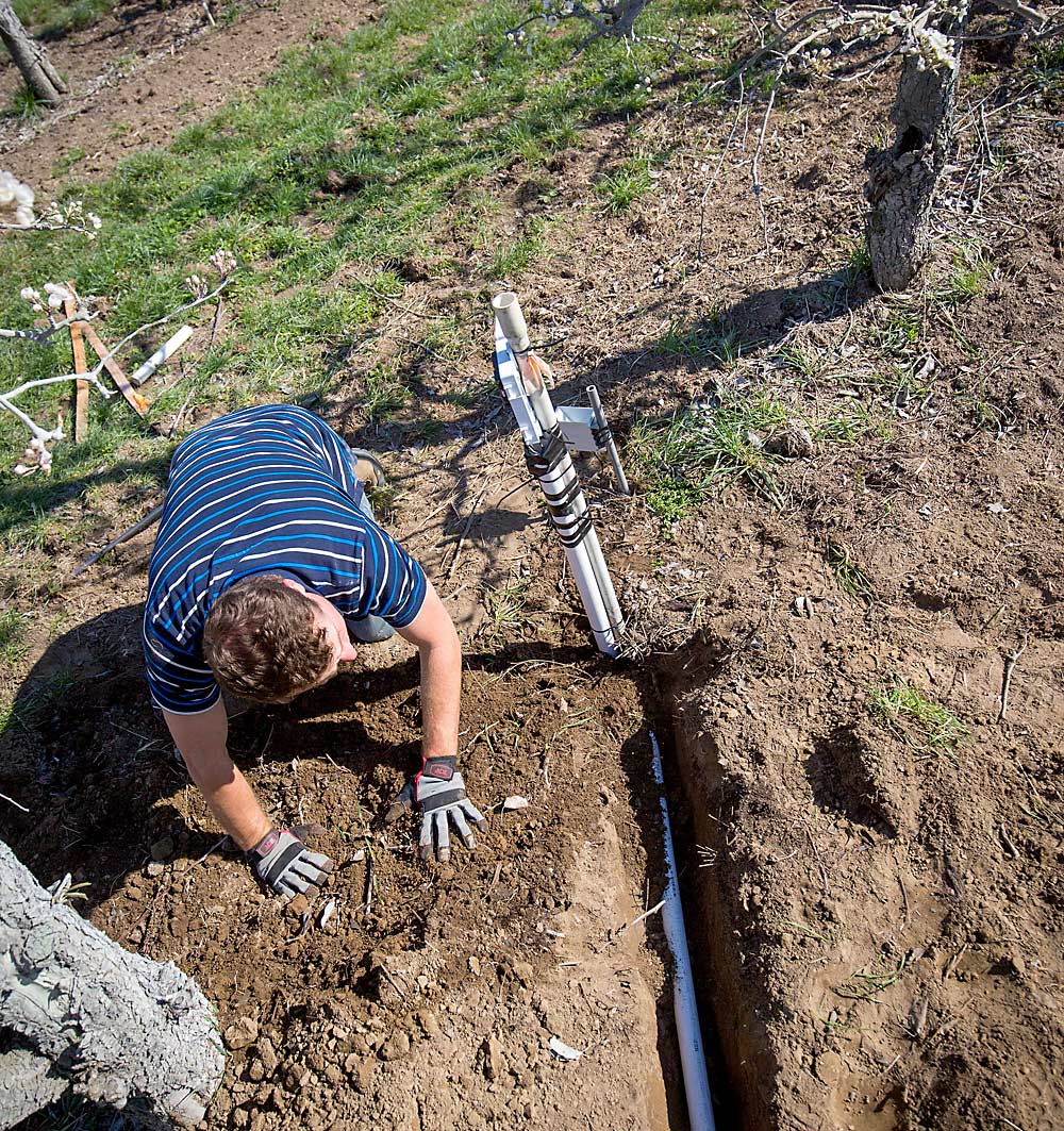 Installing soil moisture sensor equipment can help in your orchard, such as this sensor and data logger being installed in a Sunnyside, Washington, pear block. (TJ Mullinax/Good Fruit Grower)