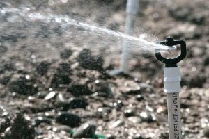 Irrigation in a Wapato, Wash., orchard on April 30, 2014. (TJ Mullinax/Good Fruit Grower)