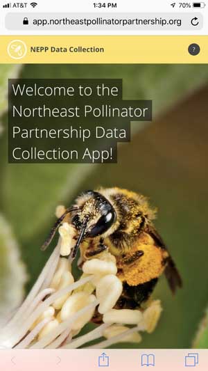 The first page of the Northeast Pollinator Partnership Data Collection App, as seen on a mobile phone. (Courtesy Northeast Pollinator Project website)The first page of the Northeast Pollinator Partnership Data Collection App, as seen on a mobile phone. (Courtesy Northeast Pollinator Project website)