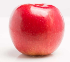 MN 55, the fruit of which will be marketed as Rave, is a new variety released from the University of Minnesota breeding program that introduced Honeycrisp. MN 55’s major attribute is its timing: It matures about a month before Honeycrisp. <b>(Courtesy of Stemilt Growers Co.)</b>