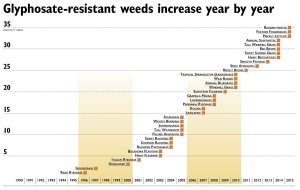 CLICK TO ENLARGE (PDF) The longer a herbicide is on the market, the longer the list of resistant species. There are 35 known Roundup-resistant weed species in the world. Source: Ian Heap, WeedScience.org (Jared Johnson/Good Fruit Grower illustration)
