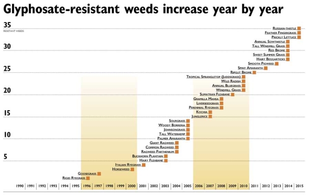CLICK TO ENLARGE (PDF) The longer a herbicide is on the market, the longer the list of resistant species. There are 35 known Roundup-resistant weed species in the world. Source: Ian Heap, WeedScience.org <b>(Jared Johnson/Good Fruit Grower illustration)</b>