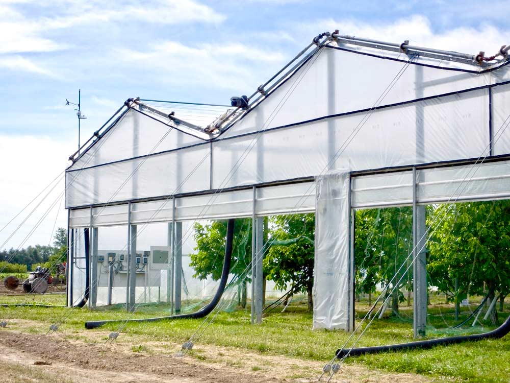Michigan State University cherry expert Gregory Lang is trying a retractable roof system over a cherry orchard at MSU’s Clarksville Research Center in south-central Michigan. The steel and cable structure’s roof is tied to a weather station, so it opens and closes automatically. <b>(By Leslie Mertz)</b>