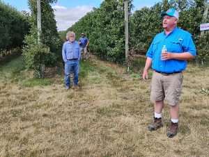 Michigan grower Bill Nyblad, right, talks about Honeycrisp horticulture during RidgeFest 2025, the annual field day of the Michigan Pomesters. (Matt Milkovich/Good Fruit Grower)