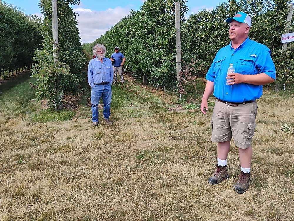 Michigan grower Bill Nyblad, right, talks about Honeycrisp horticulture during RidgeFest 2025, the annual field day of the Michigan Pomesters. (Matt Milkovich/Good Fruit Grower)
