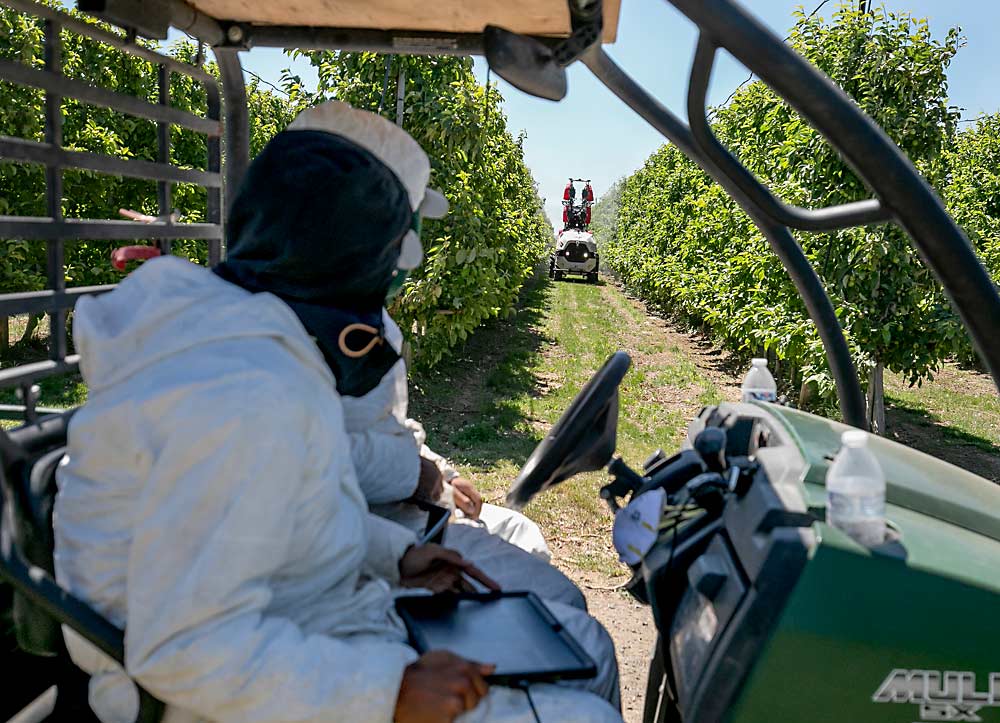 Hector Zamora, front, and Jonathan Hernandez operate a Prospr, the autonomous sprayer from Robotics Plus, in June at a Stemilt Growers orchard near Quincy, Washington. It takes relationships between growers, manufacturers and distributors to bring automation tools to tree fruit farms. (TJ Mullinax/Good Fruit Grower)